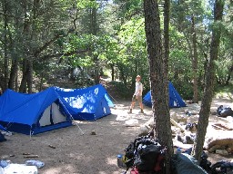 Ute Gulch Campsite